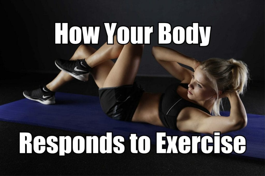 How Your Body Responds to Workouts